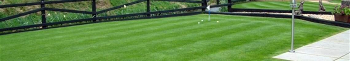 Back lawn
