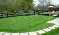 back lawn