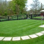 back lawn